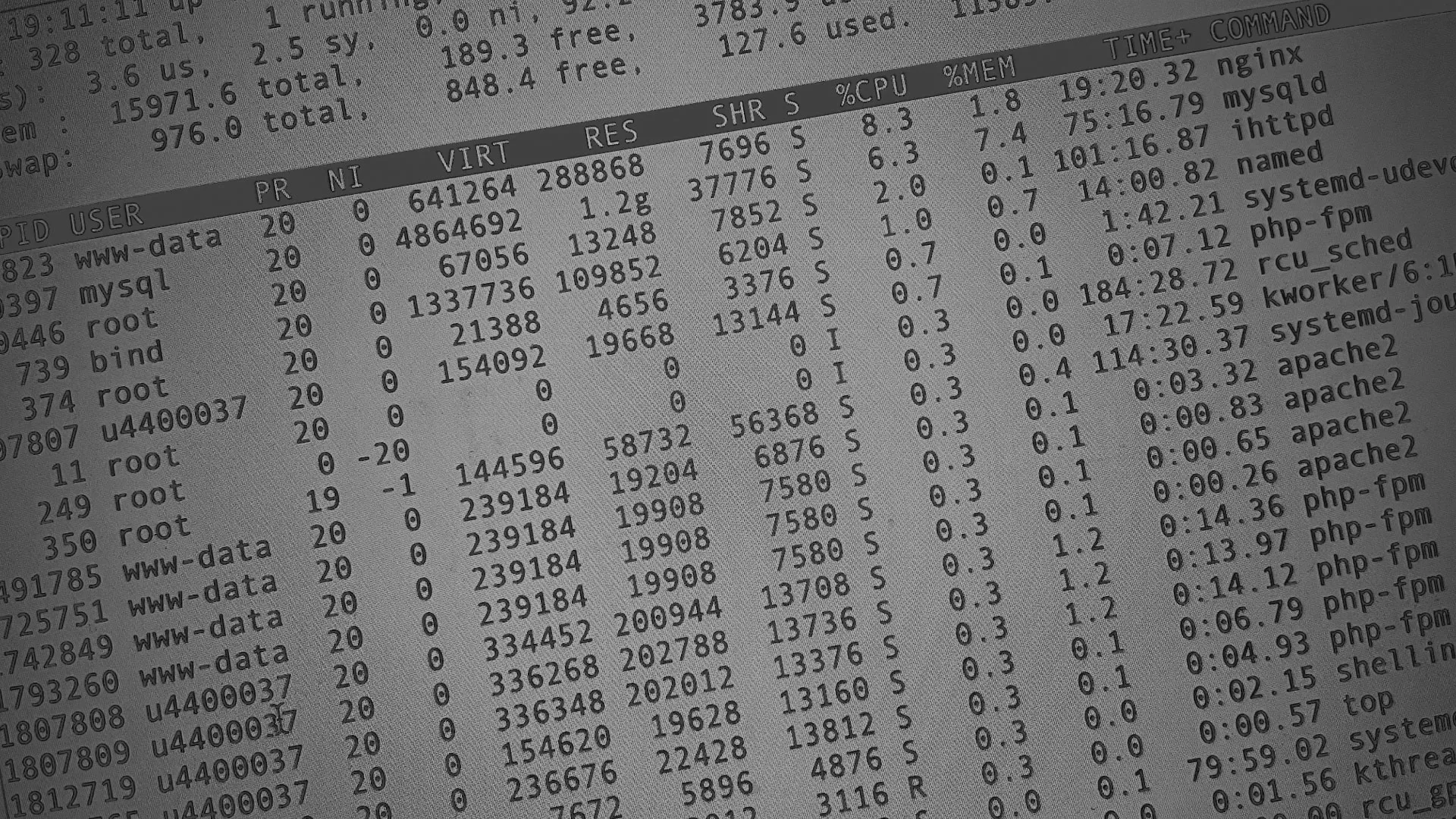 Настройка сервера в Твери